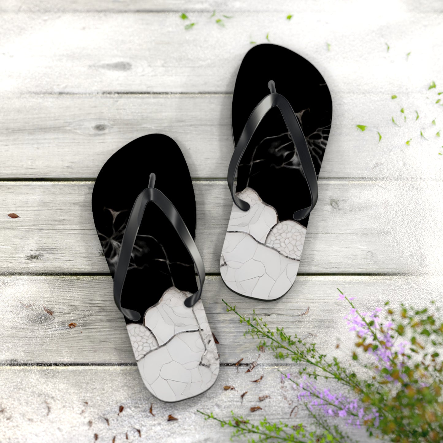 Freelance Photographer